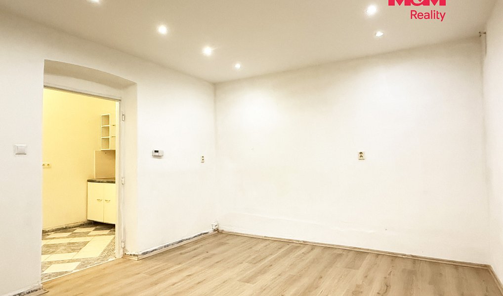 Pronájem bytu 1+1 33 m², Plzeň – náhled fotky 3