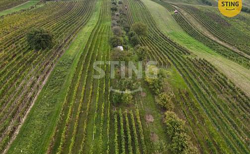 Prodej pozemku 2 286 m², Čejkovice, okres Hodonín