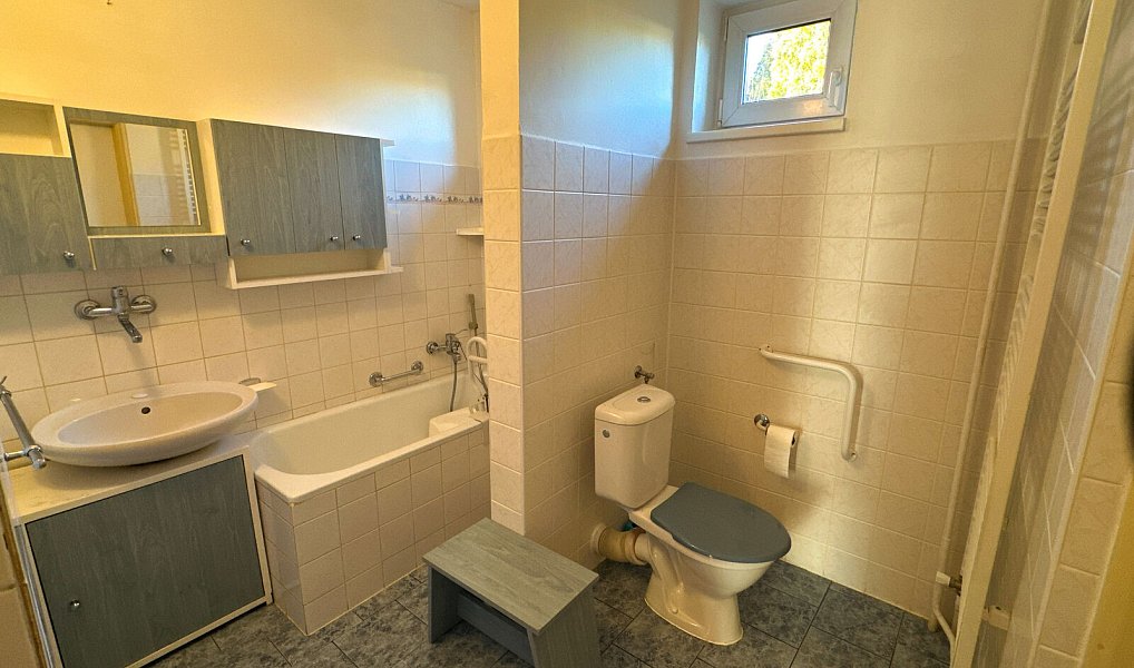 Prodej domu 350 m² s pozemkem 130 m², Halže – náhled fotky 11