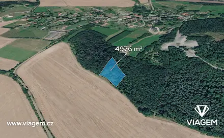 Prodej lesa 2 488 m², Tachov, okres Česká Lípa