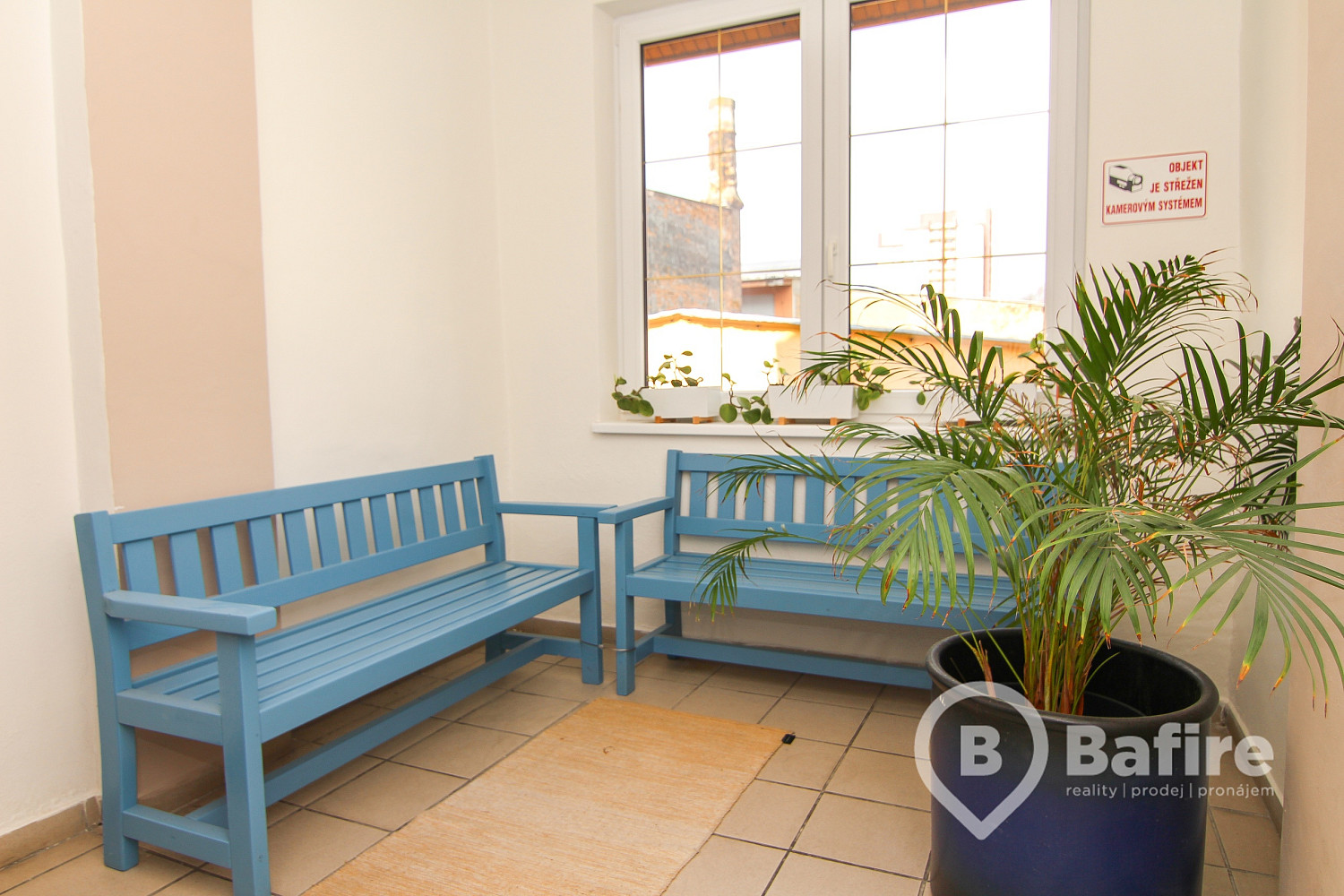 Fotka 19 z 21