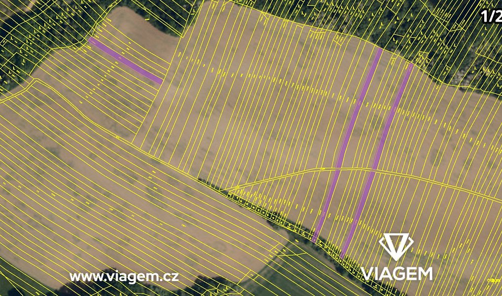Prodej pole 3 865 m², Mistřice – náhled fotky 4