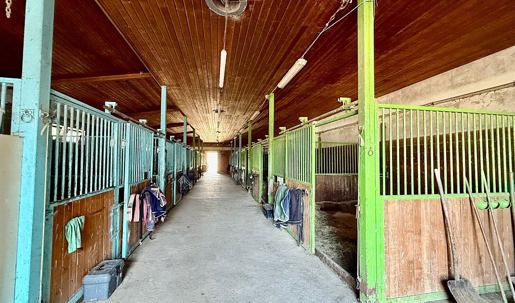 Prodej zemědělského objektu 1 300 m², Spálené Poříčí – náhled fotky 2