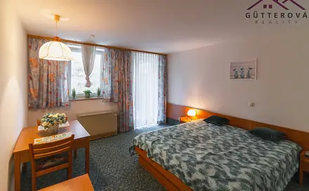 Prodej bytu 1+kk 30 m², Böhmischbruck, Německo