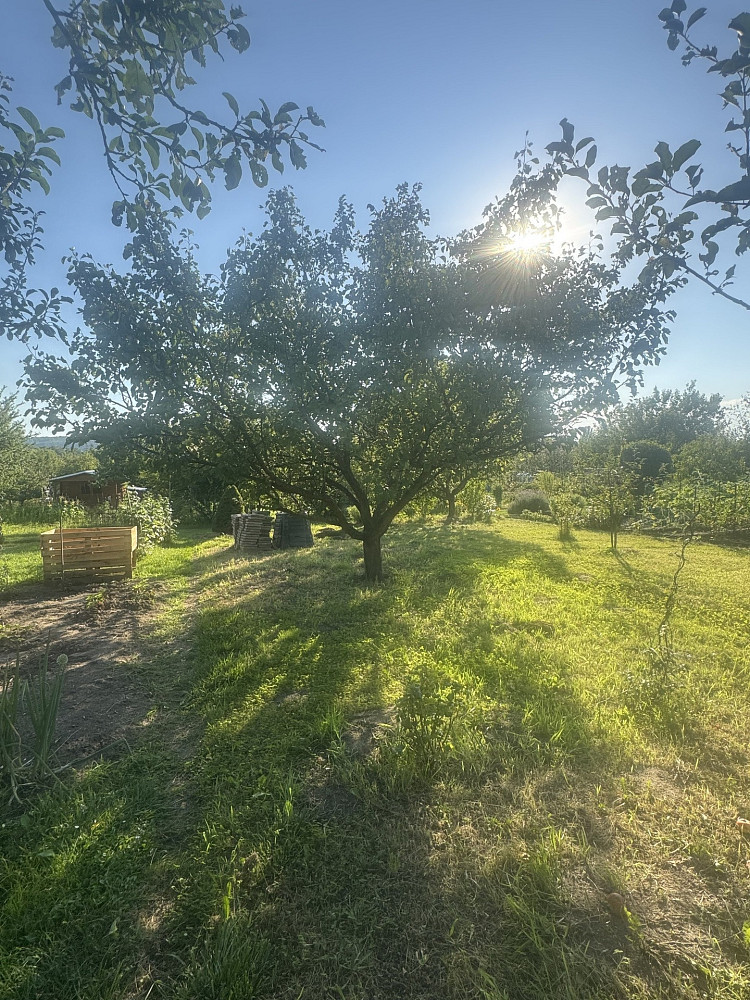 Prodej zahrady 209 m² – pohled 5
