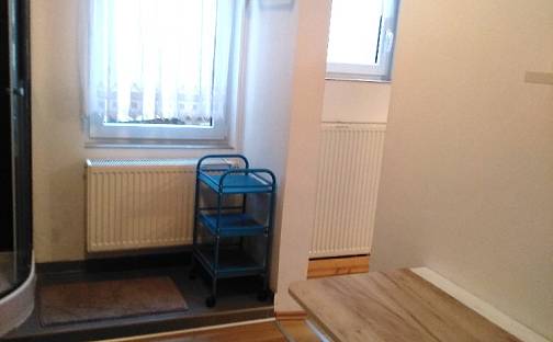 Pronájem bytu 1+1 27 m², K Čestlicům, Praha 10 - Křeslice