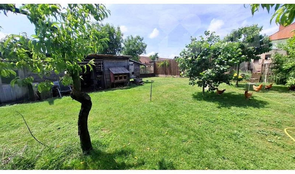 Prodej stavebního pozemku 1 313 m², Čejkovice – náhled fotky 11