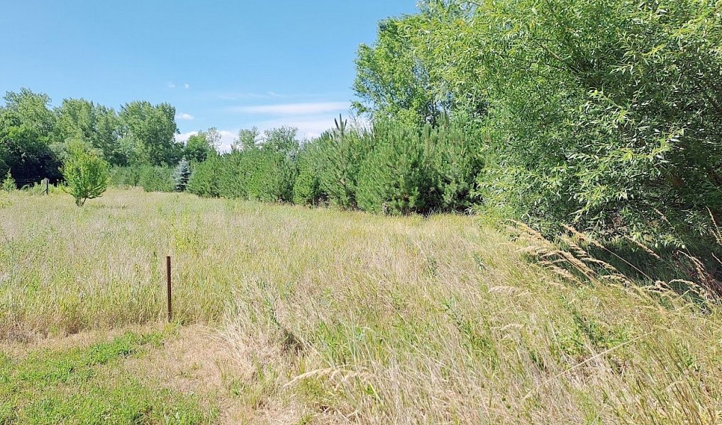 Prodej pole 5 202 m², Znojmo – náhled fotky 6