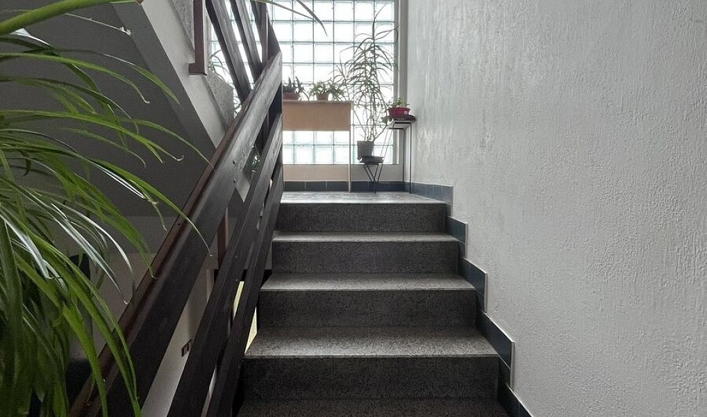 Prodej domu 350 m² s pozemkem 792 m², Veselí nad Lužnicí – náhled fotky 13