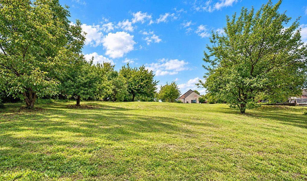 Prodej stavebního pozemku 1 273 m², Jaroměř – náhled fotky 6