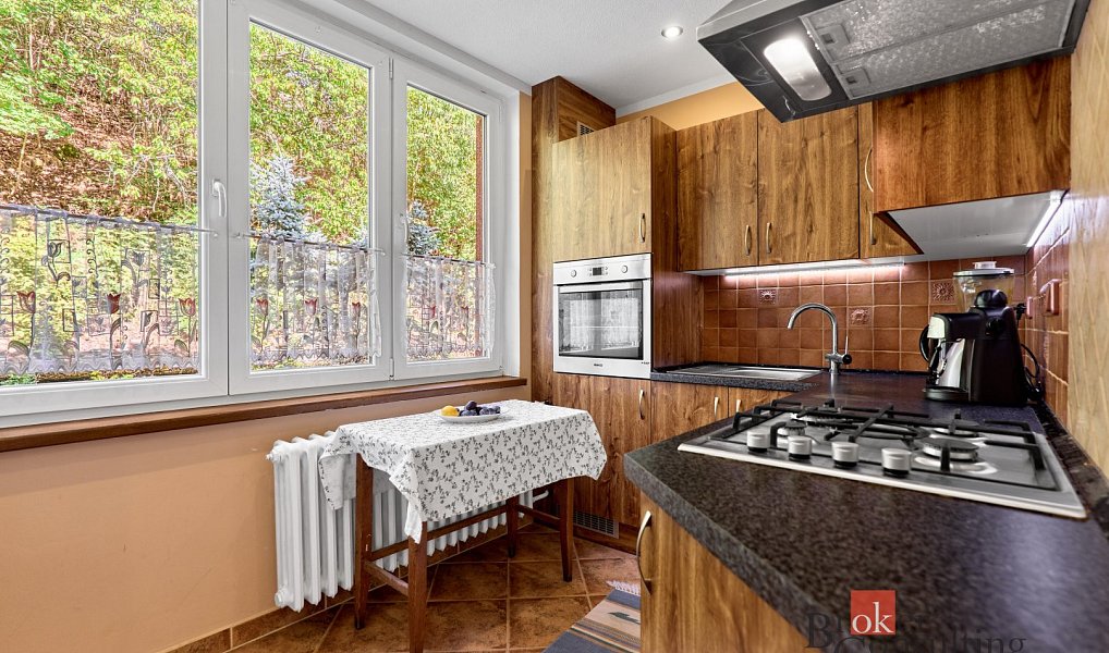 Prodej bytu 2+1 60 m², Jáchymov – náhled fotky 3