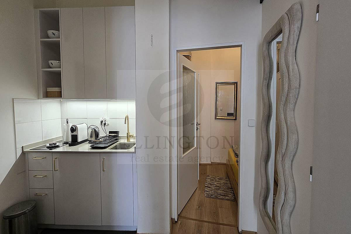 Pronájem bytu 2+kk 39 m² — photo 2