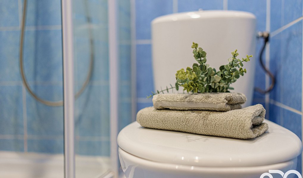 Prodej ubytovacího objektu 906 m², Rokytnice nad Jizerou – náhled fotky 27