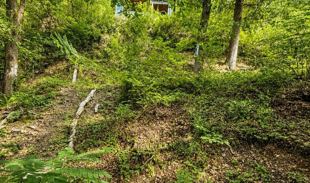 Prodej chaty/chalupy 32 m² s pozemkem 1 313 m², Zdiby – náhled fotky 14