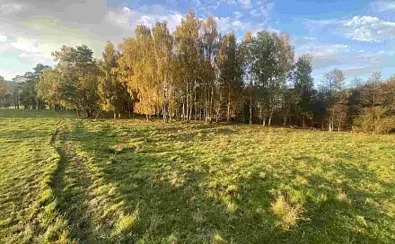 Prodej pole 7 516 m², Cvikov - Trávník, okres Česká Lípa