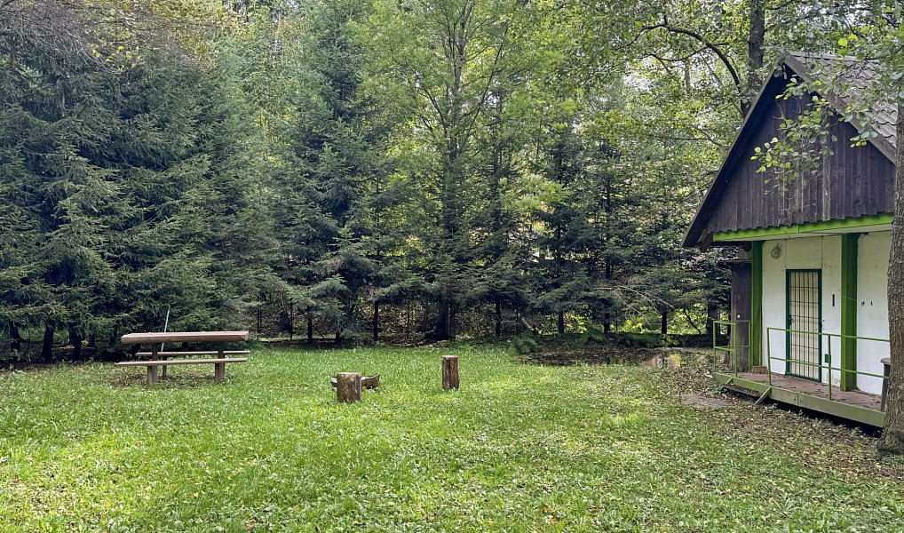 Prodej chaty/chalupy 85 m² s pozemkem 2 880 m², Loučná nad Desnou – náhled fotky 10