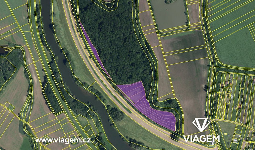 Prodej lesa 1 692 m², Ladná – náhled fotky 4