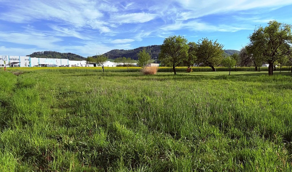 Prodej stavebního pozemku 902 m², Kopřivnice – náhled fotky 8