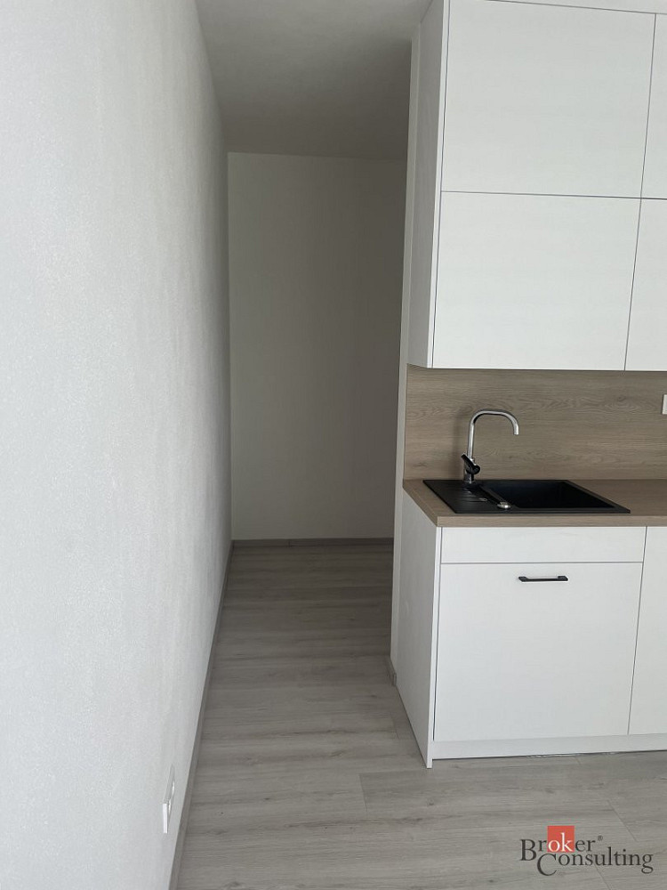 Pronájem bytu 1+kk 35 m² – fotografie 3