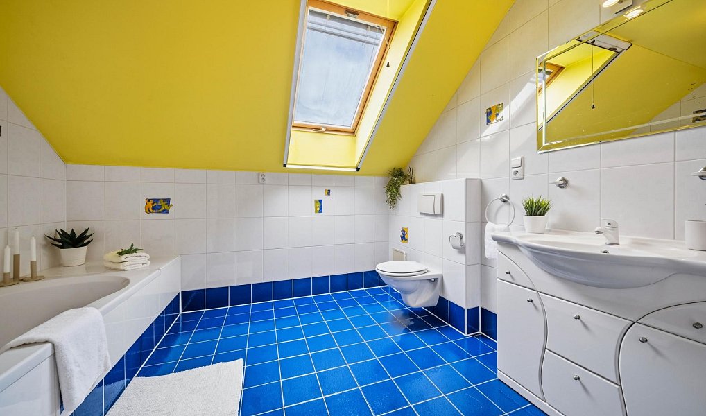 Prodej domu 267 m² s pozemkem 1 071 m², Albrechtice nad Orlicí – náhled fotky 11