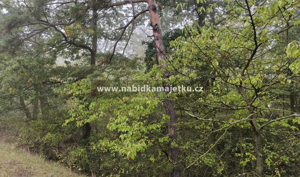 Prodej lesa, 16 m², Rakovník, Jesenice