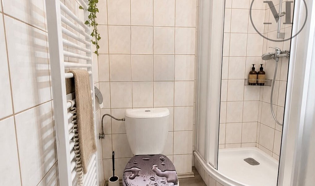 Prodej nájemního domu, činžáku 17 m², Benešov nad Černou – náhled fotky 9