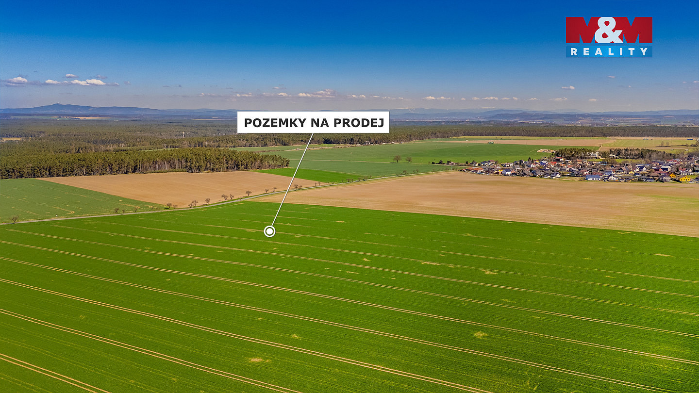 Prodej pole 12 770 m² — photo 4