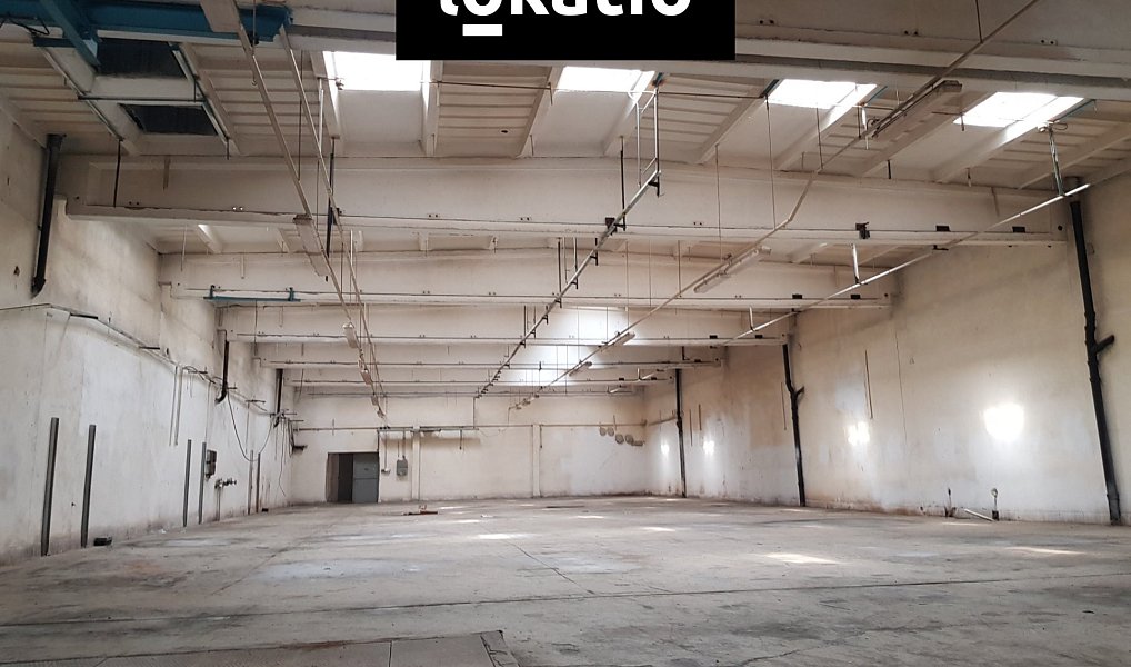 Pronájem skladovacích prostor 3 000 m², Olomouc – náhled fotky 9