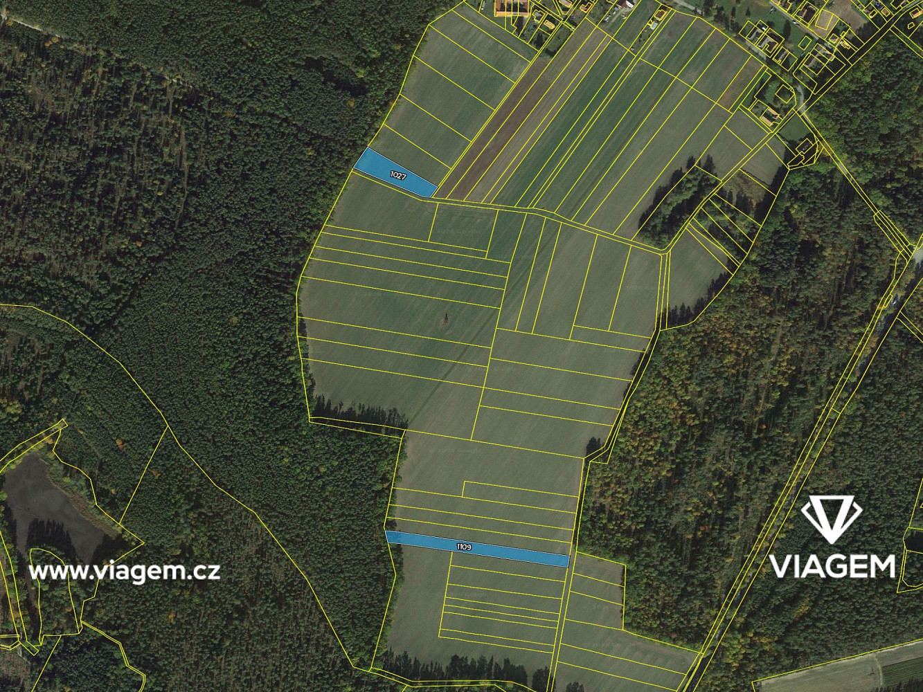 Prodej pole 1 065 m² – fotografie 4