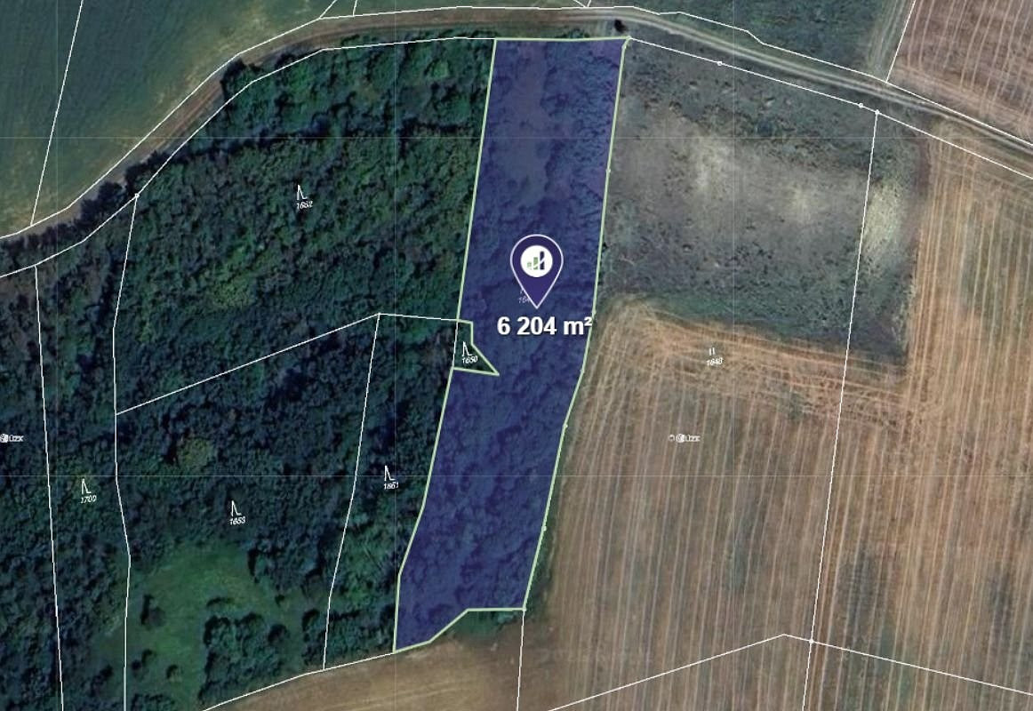 Prodej lesa 6 204 m²
