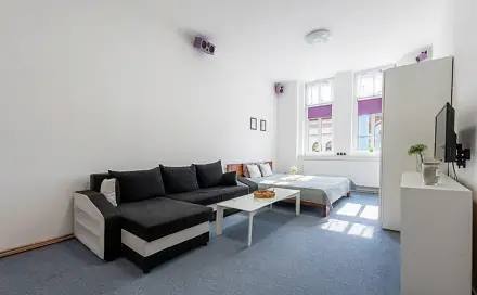 Prodej bytu 2+1 86 m², Nerudova, Plzeň - Jižní Předměstí
