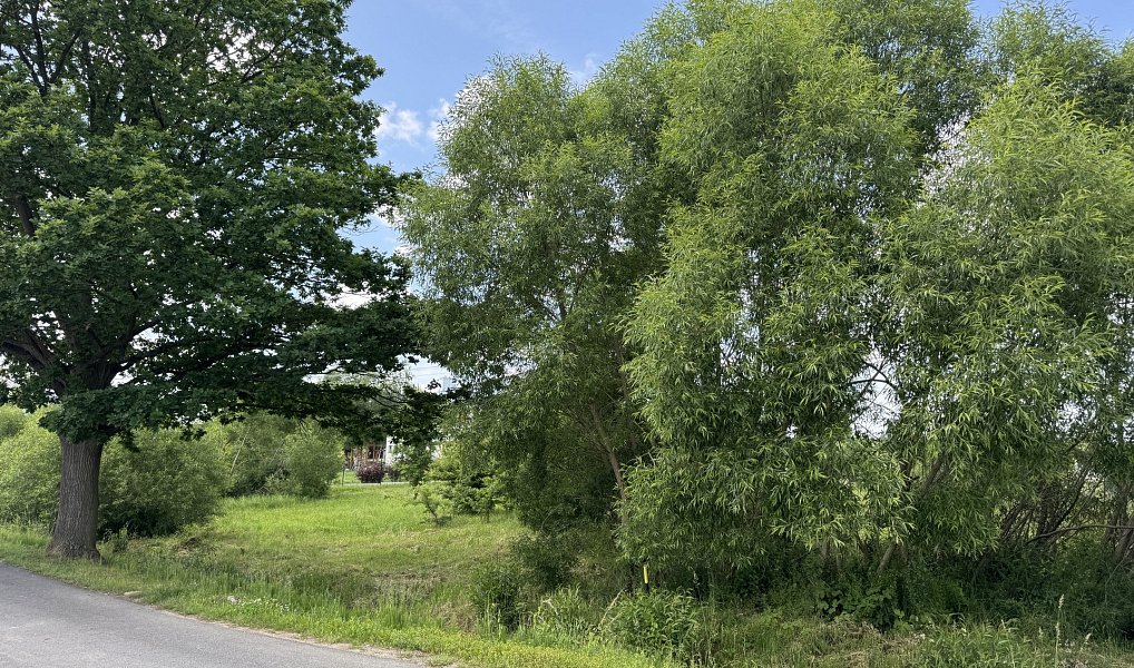 Prodej stavebního pozemku 1 294 m², Jenišov – náhled fotky 4