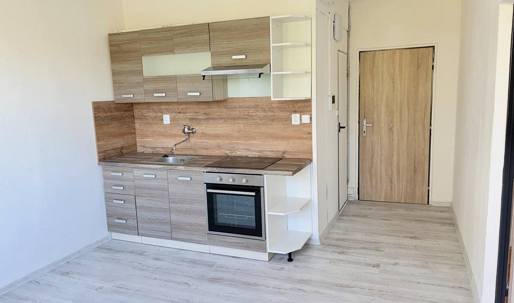 Pronájem bytu 1+1 37 m², Plzeň – náhled fotky 2