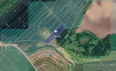 Prodej pole 1 937 m², Čejč, okres Hodonín
