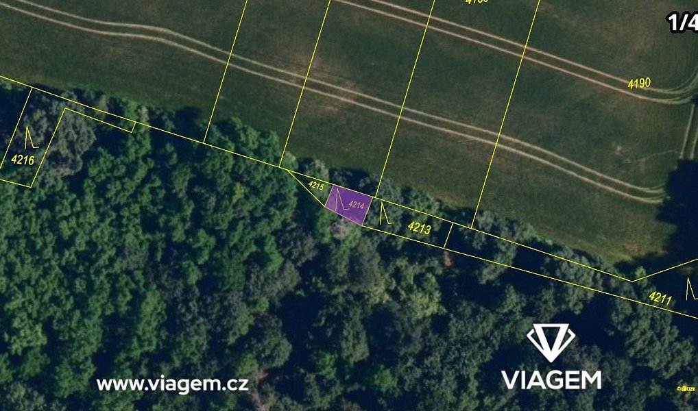 Prodej lesa 4 460 m², Lukovany – náhled fotky 4