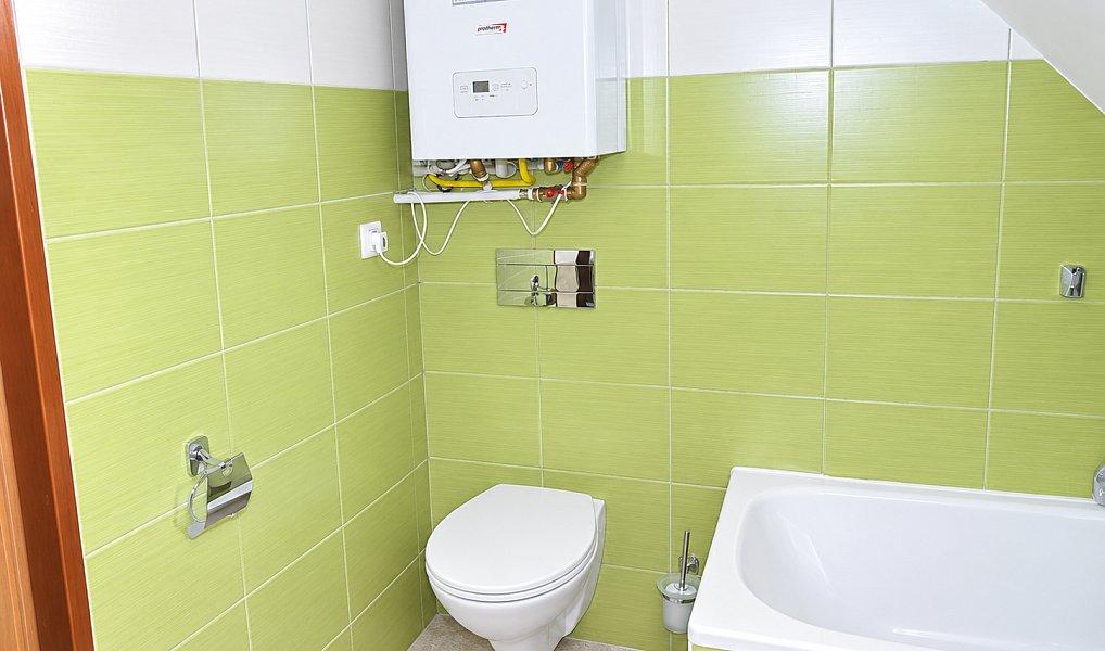 Prodej domu 953 m², Plzeň – náhled fotky 4