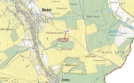 Dražba lesa 1 163 m², Strání