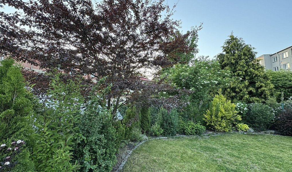Prodej domu 139 m² s pozemkem 333 m², Plzeň – náhled fotky 30