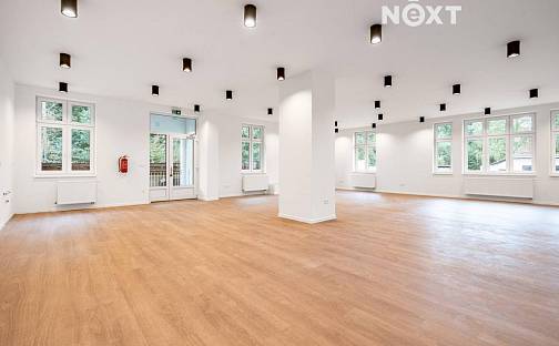 Pronájem komerčního objektu (jiného typu) 177 m², Libušino údolí, Třebíč - Borovina