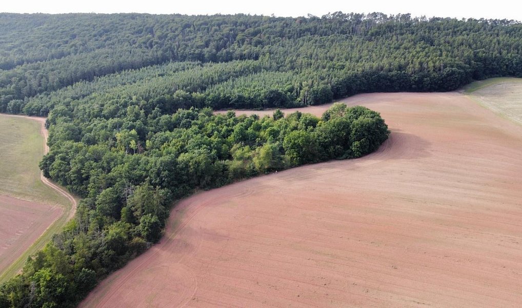 Prodej pole 26 115 m², Pozdeň – náhled fotky 3