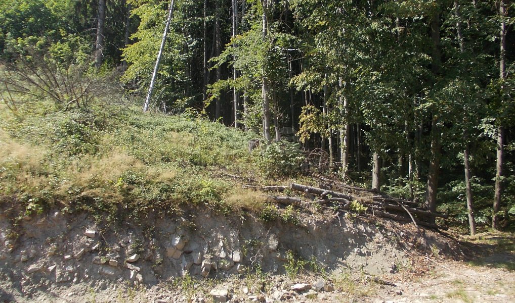 Prodej chaty/chalupy 36 m² s pozemkem 3 955 m², Pstruží – náhled fotky 7