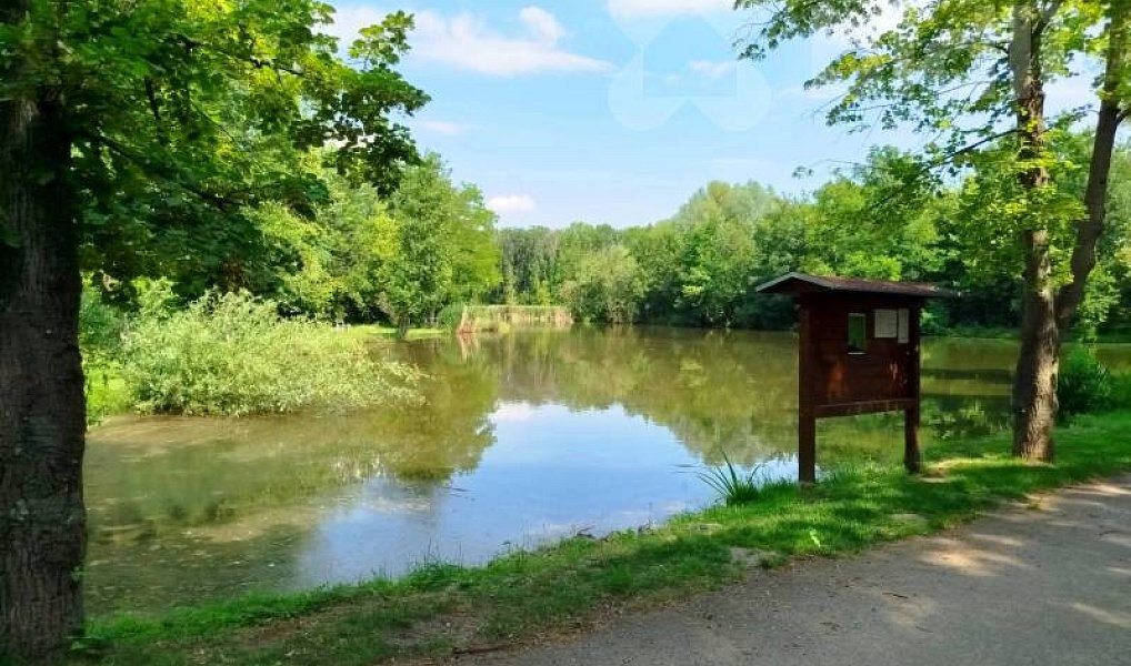 Prodej domu 100 m² s pozemkem 1 313 m², Čejkovice – náhled fotky 14