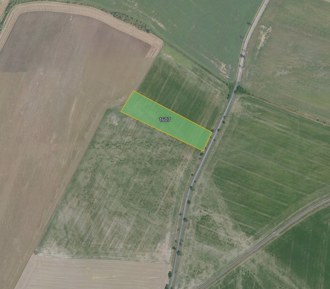 Prodej pole 4 388 m²