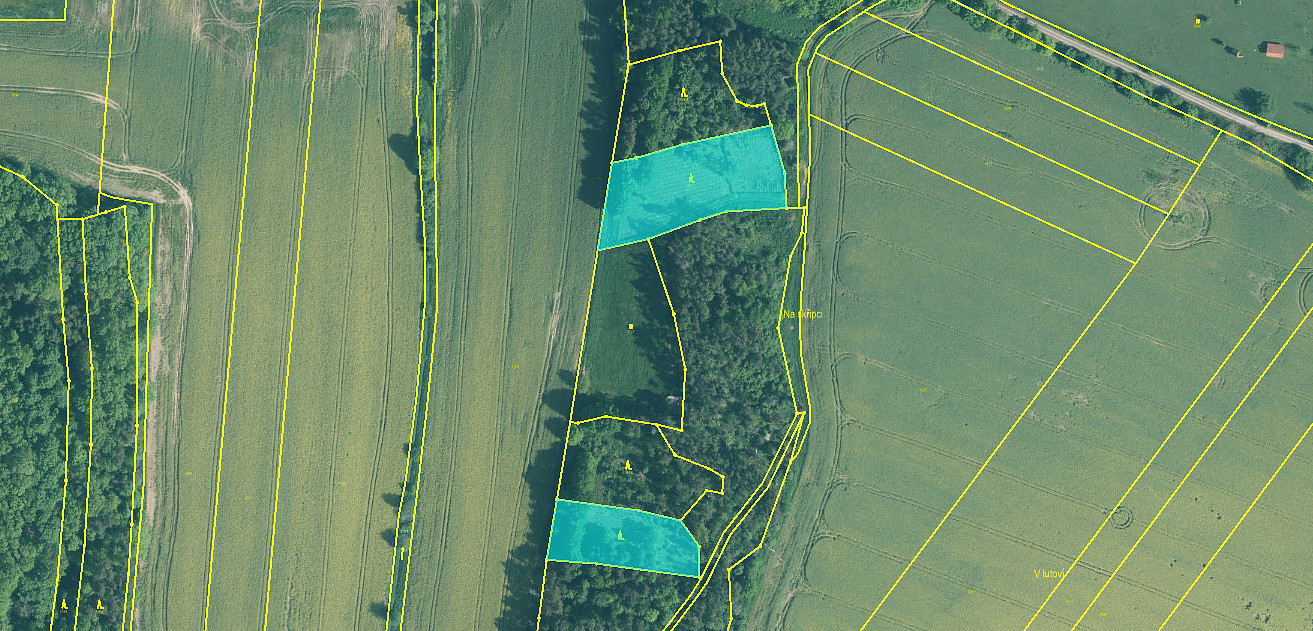 Prodej lesa 5 674 m²