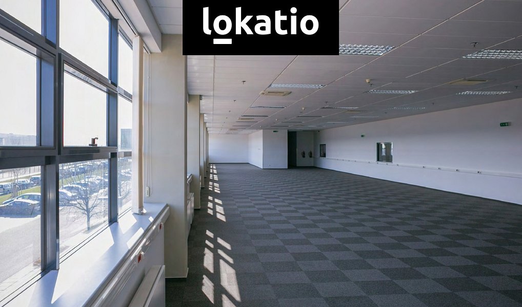 Pronájem skladovacích prostor 3 500 m², Ovčáry – náhled fotky 5