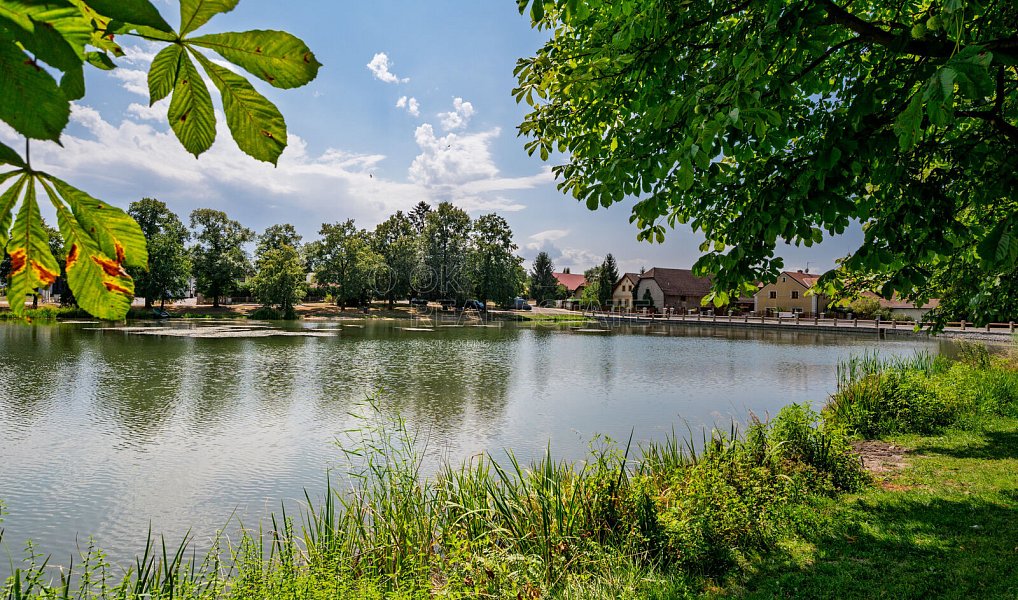 Prodej domu 546 m² s pozemkem 1 608 m², Zvole – náhled fotky 47