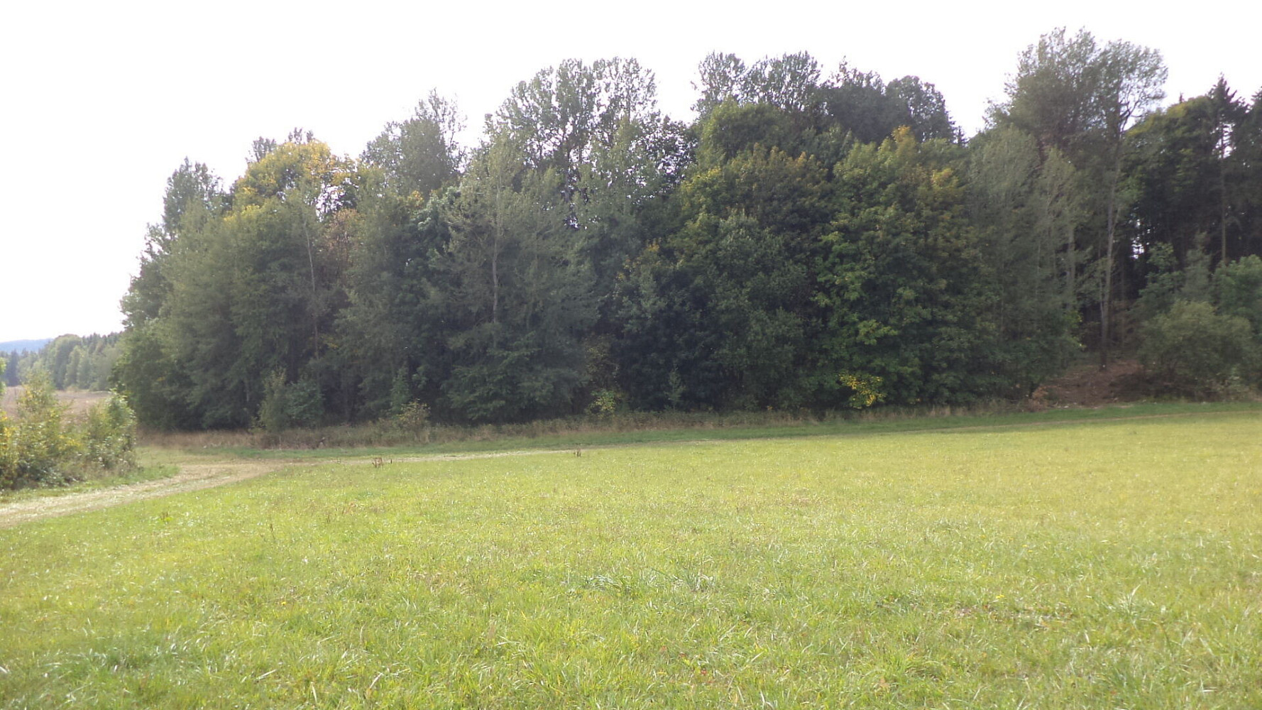 Prodej pole 5 912 m² – fotografie 2