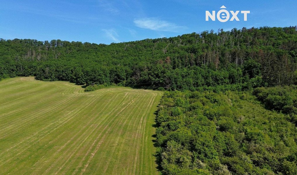 Prodej lesa 3 149 m², Chrustenice – náhled fotky 10