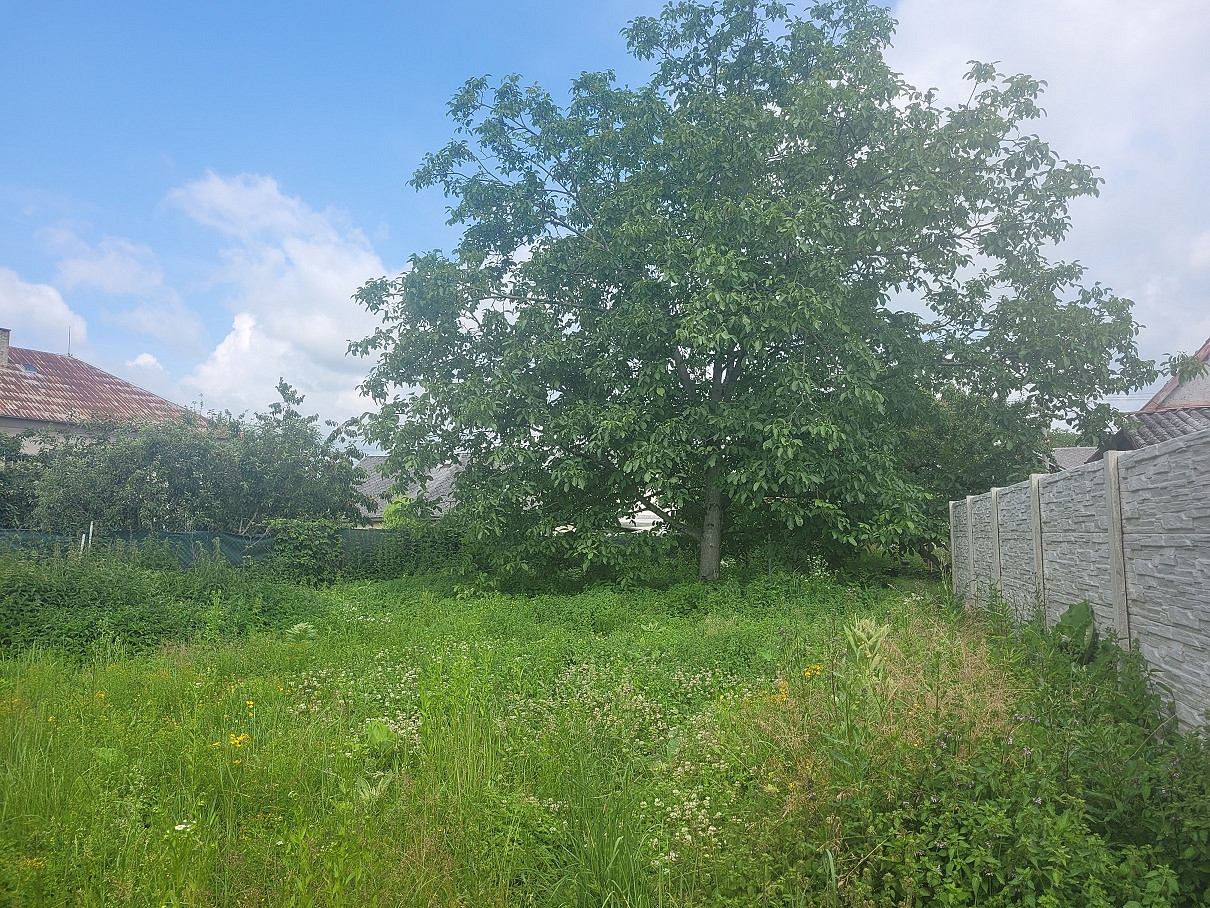 Prodej stavebního pozemku 1 890 m² — photo 4