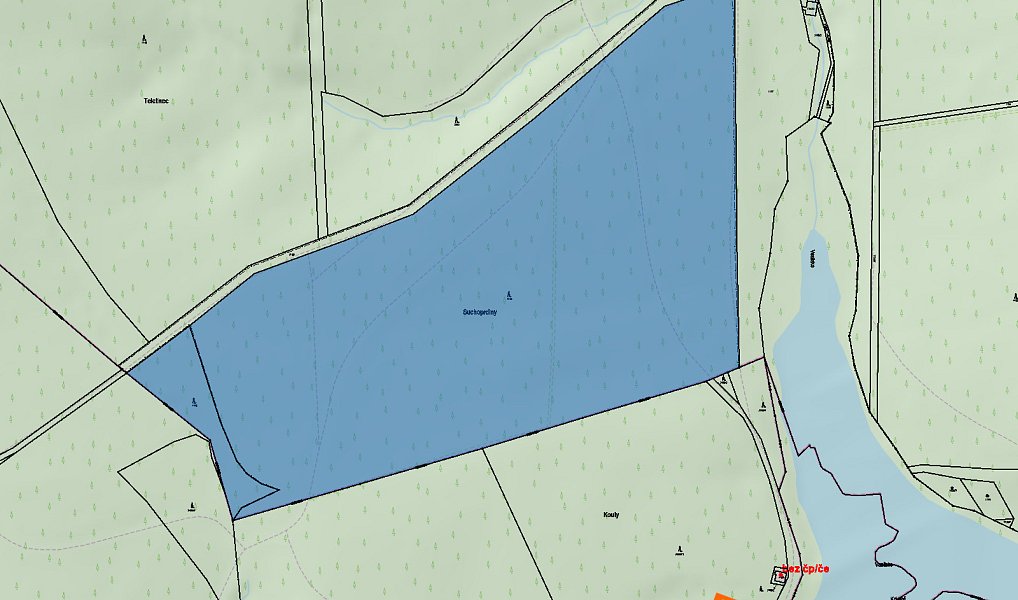 Prodej lesa 535 m², Rudimov – náhled fotky 3